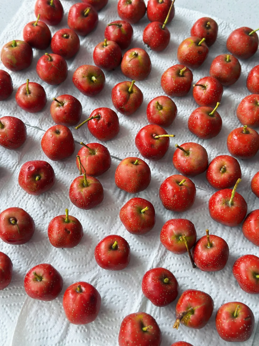 《泡酒大业之山楂篇?》