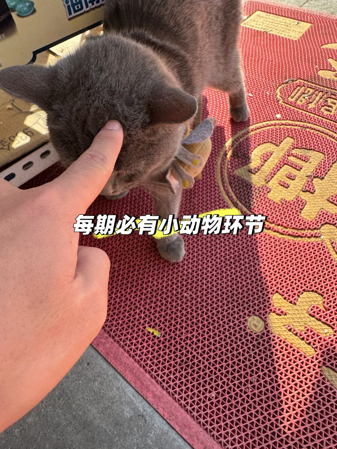 00后亳州小伙古井委培生第六期