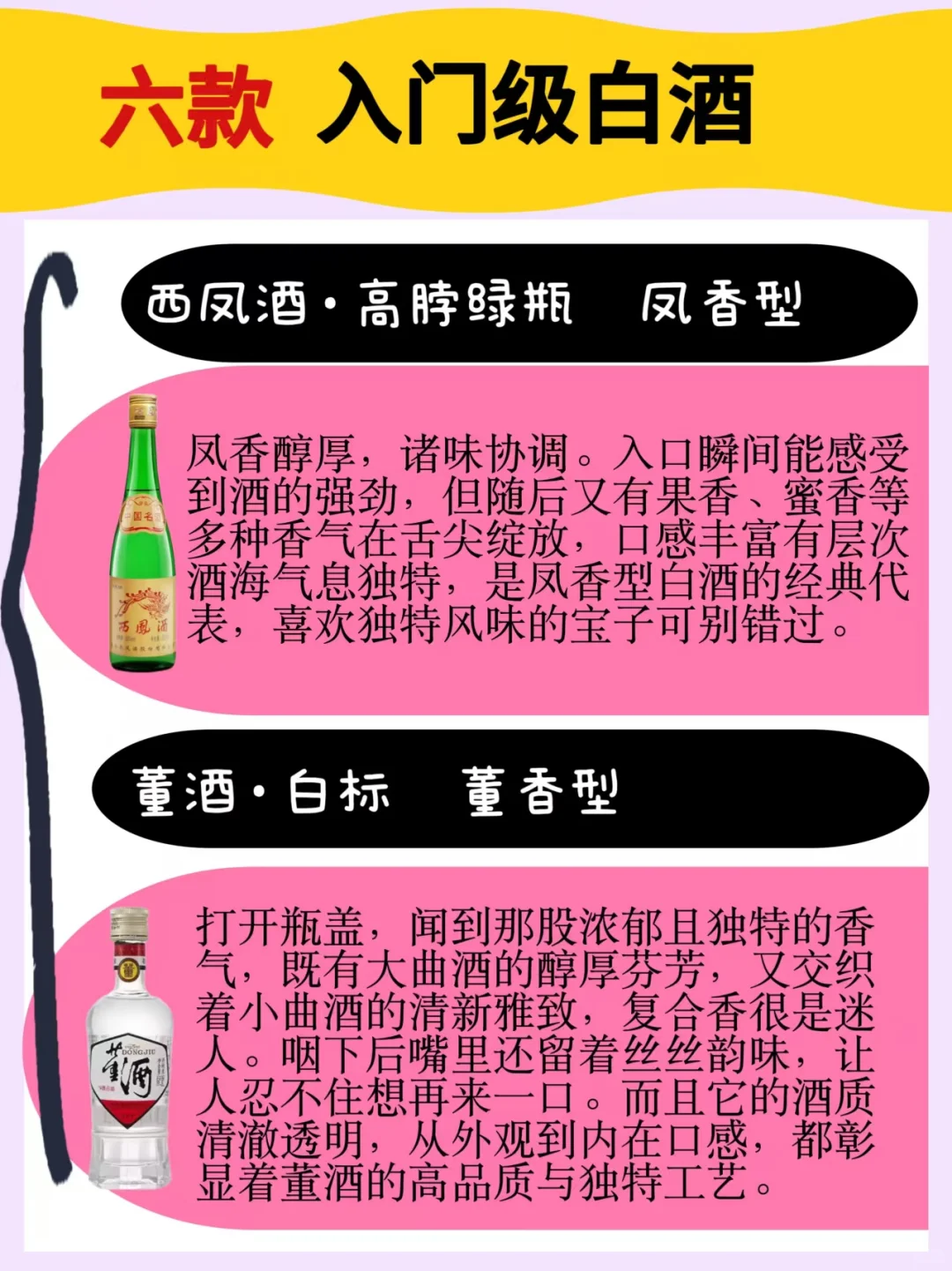 小白友好的六款入门级白酒✨