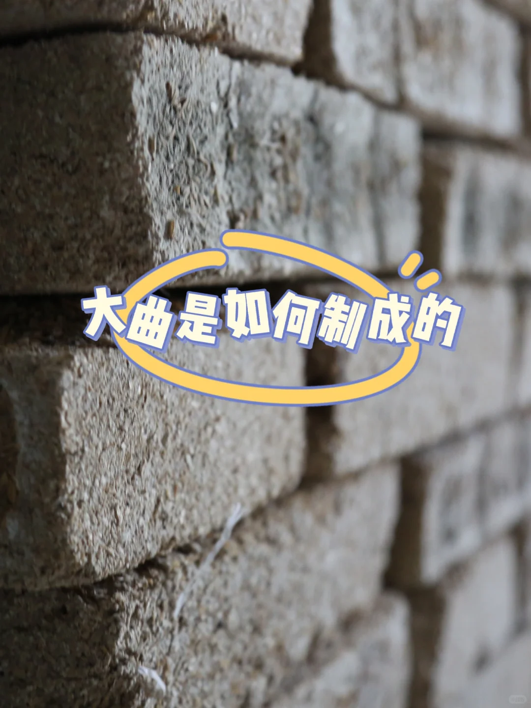 大曲是如何制成的？