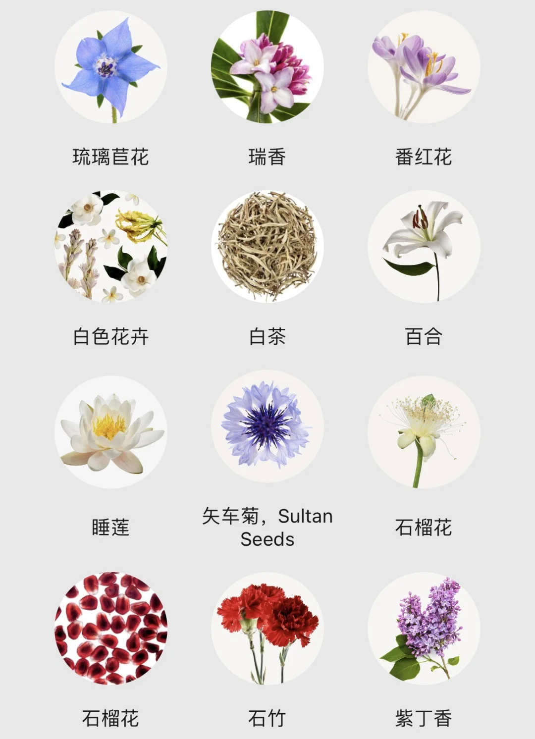 不会还有人不知道香水香调都有哪些吧！