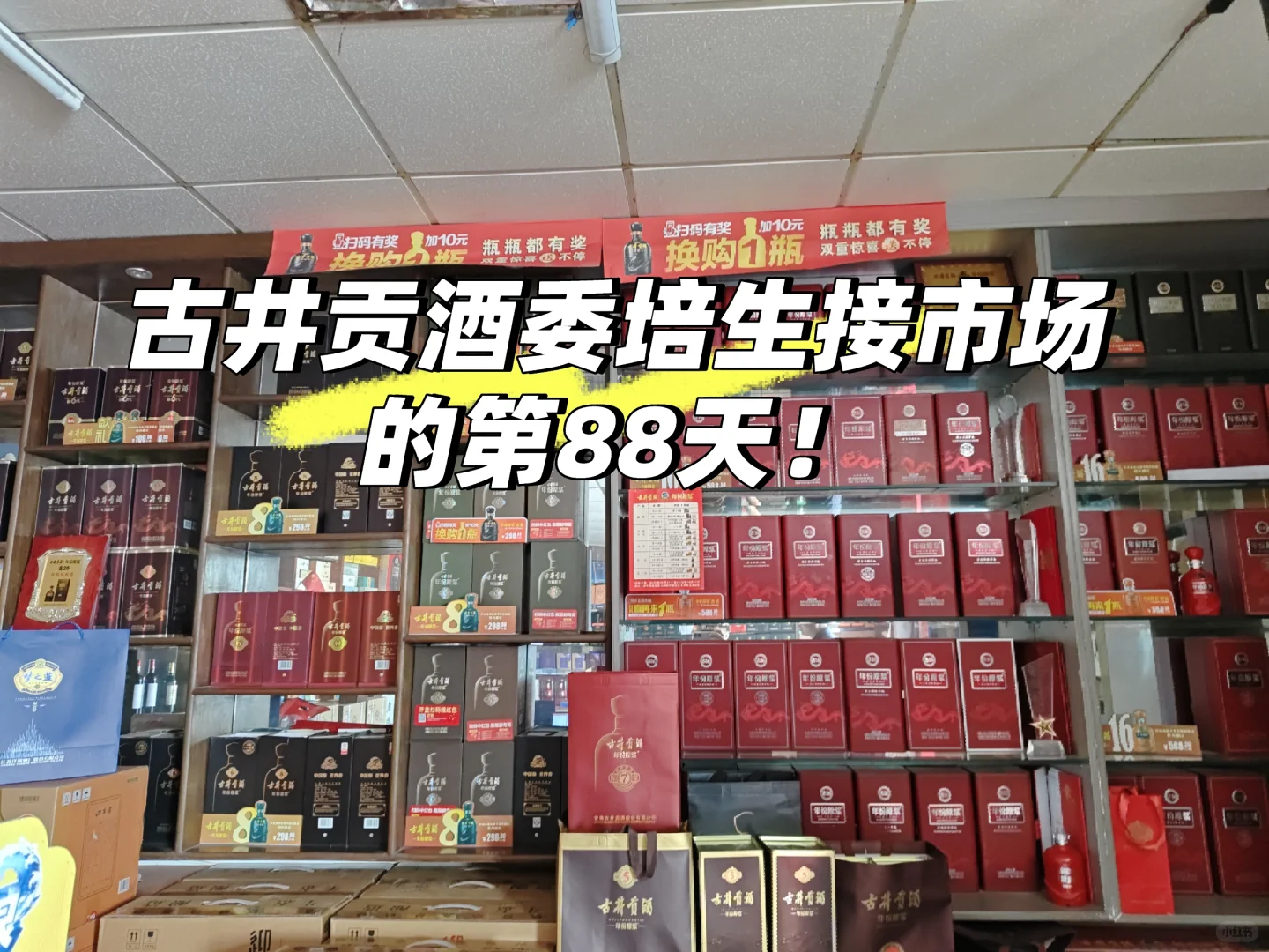 古井贡酒委培生接市场的第88天!