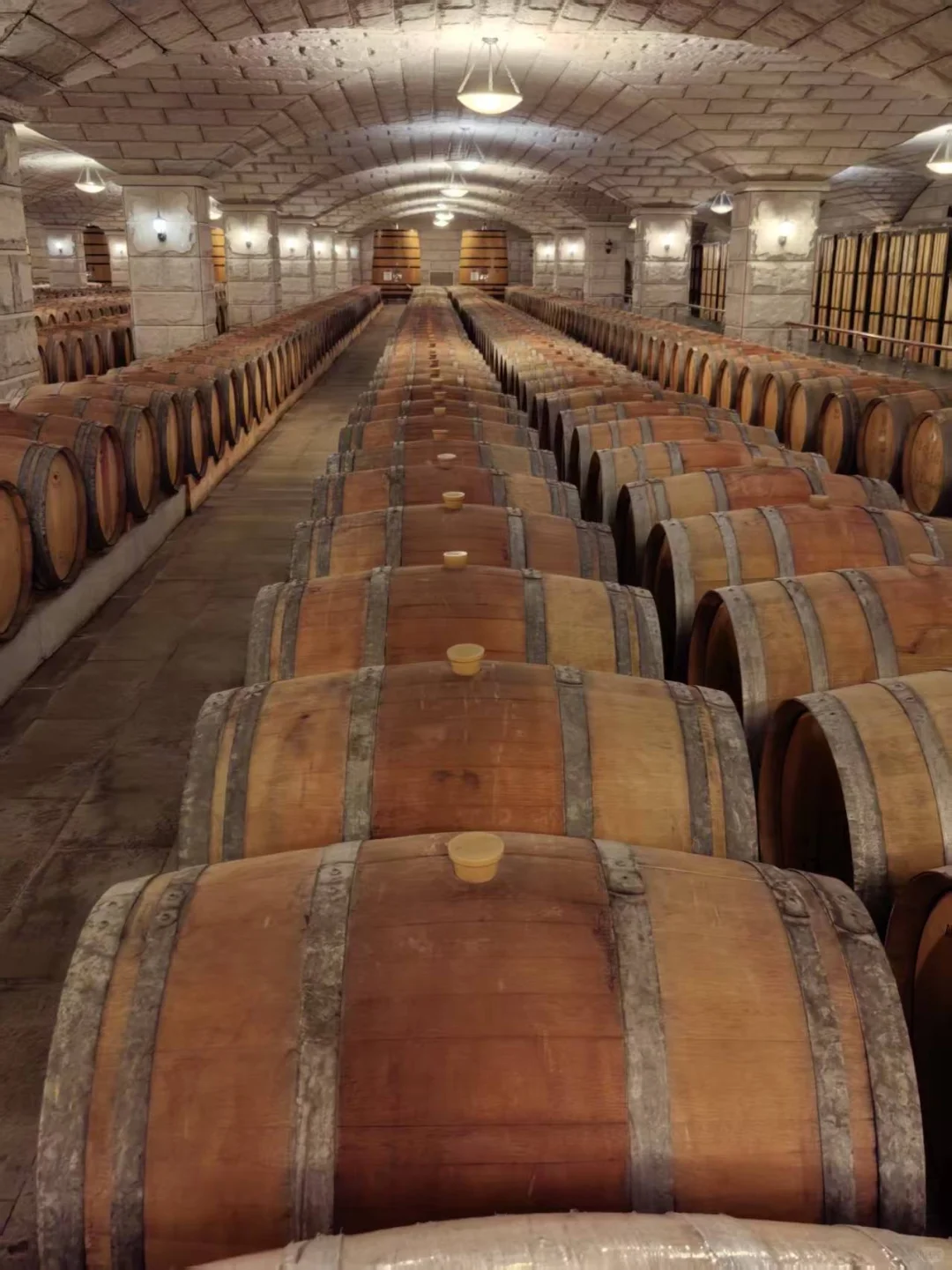 嘉峪关紫轩葡萄酒庄园