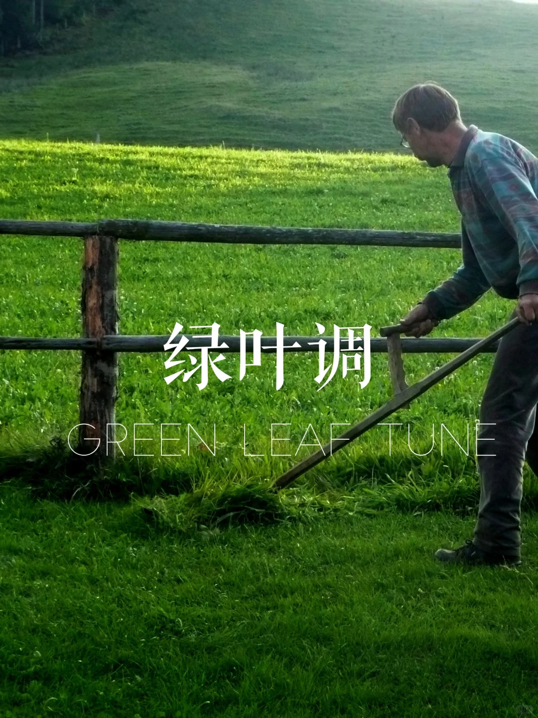 赶时间进：一分钟找到你的本命香！