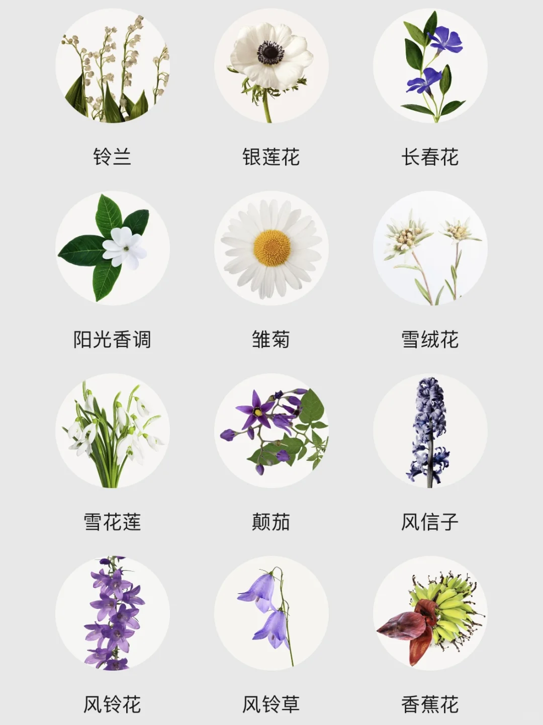 不会还有人不知道香水香调都有哪些吧！