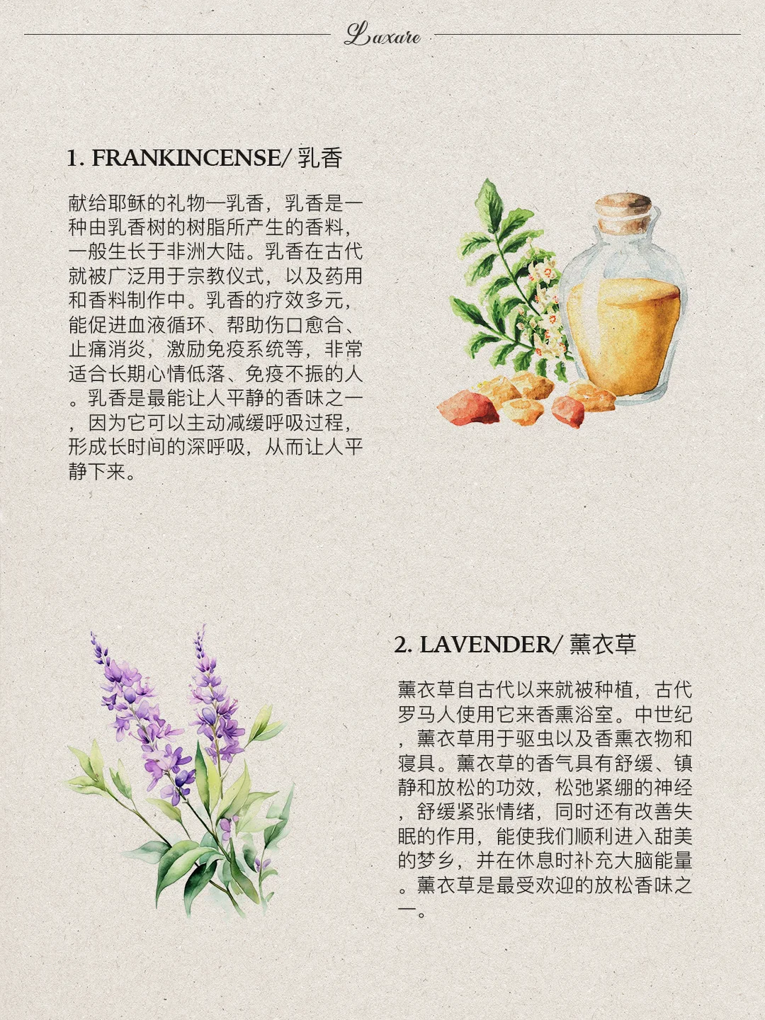 自然疗愈｜?种帮你放松的舒缓香味