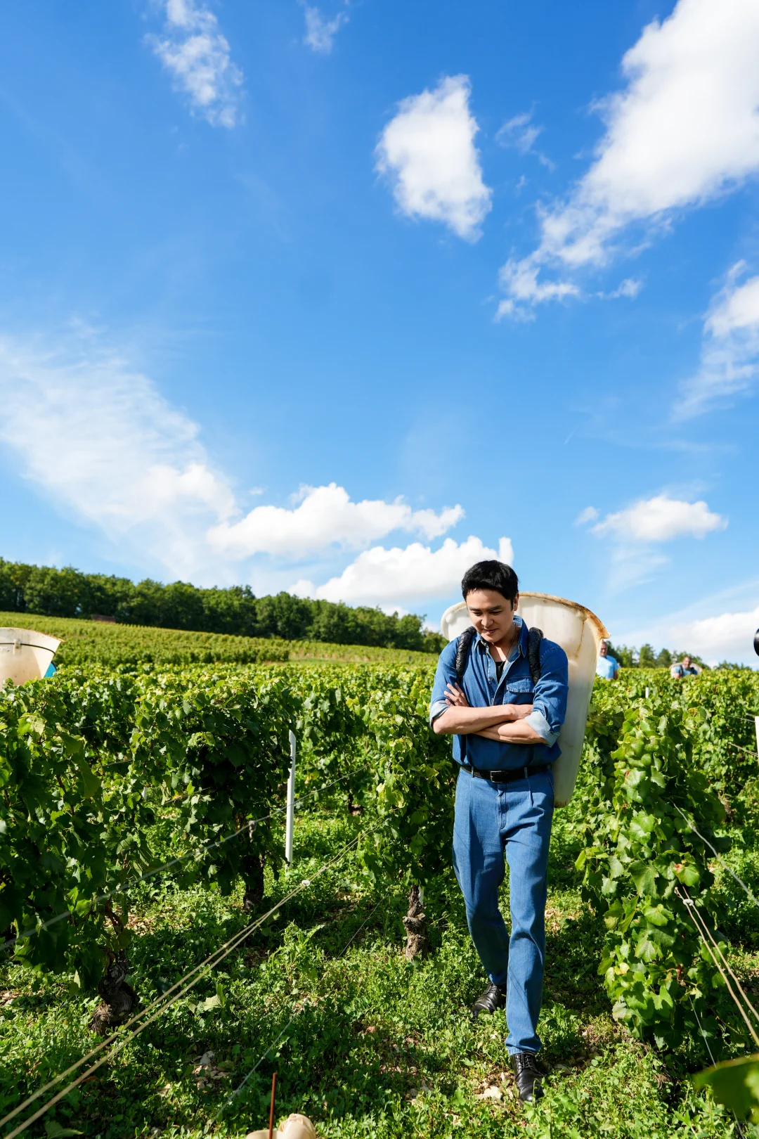 美好的一年｜在勃艮第，我尝到了风土的味道