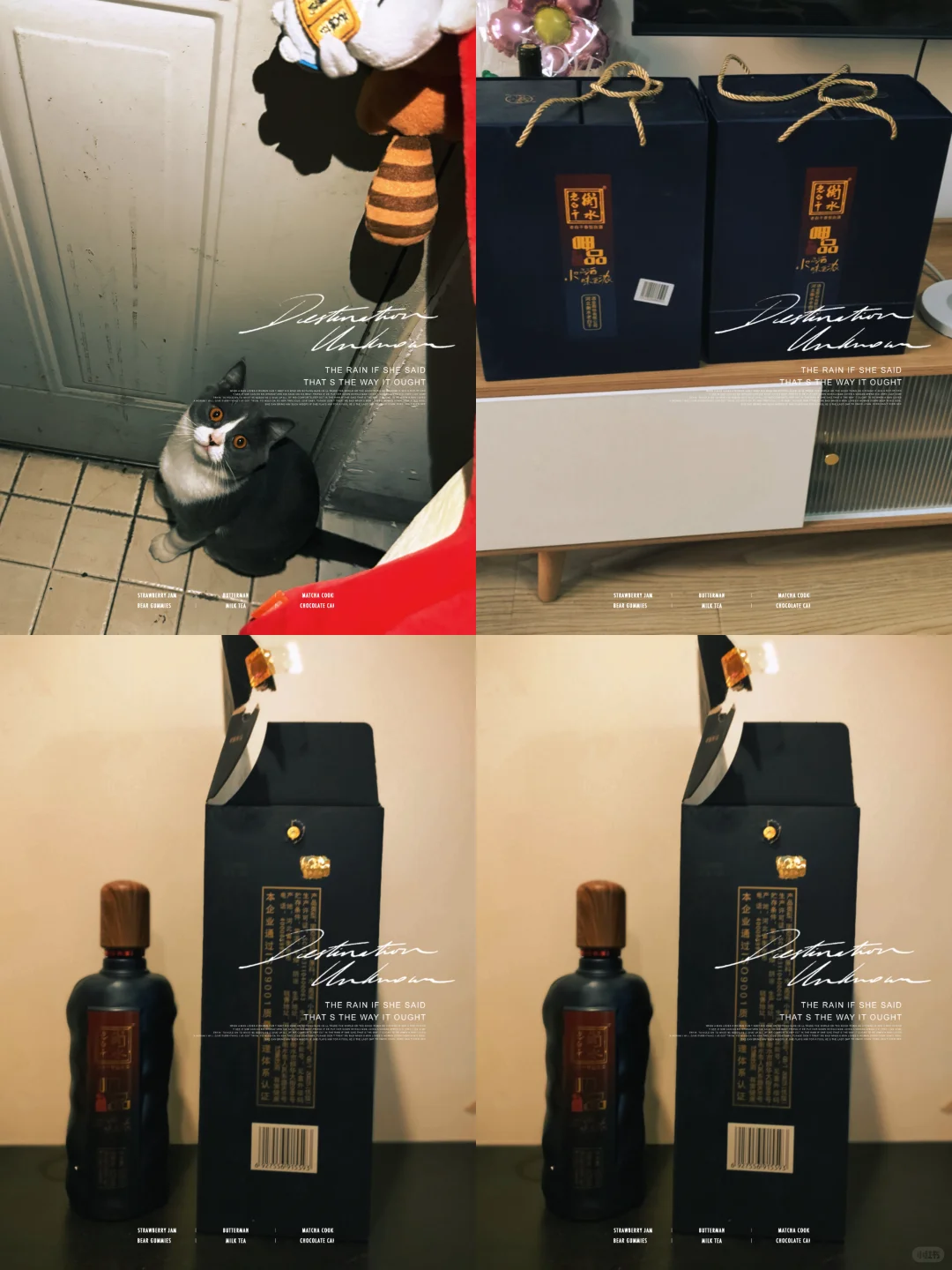 这口粮酒绝了!52度衡水老白干买一送一