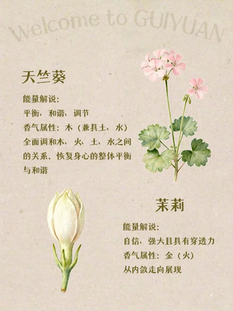 五行×香气｜喜木之人适合的香气