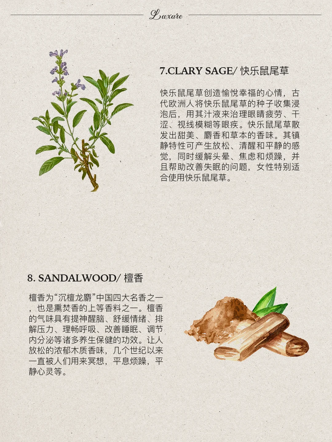 自然疗愈｜?种帮你放松的舒缓香味