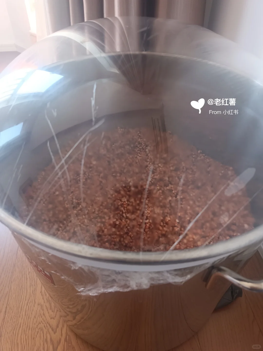 家庭自酿高粱白酒