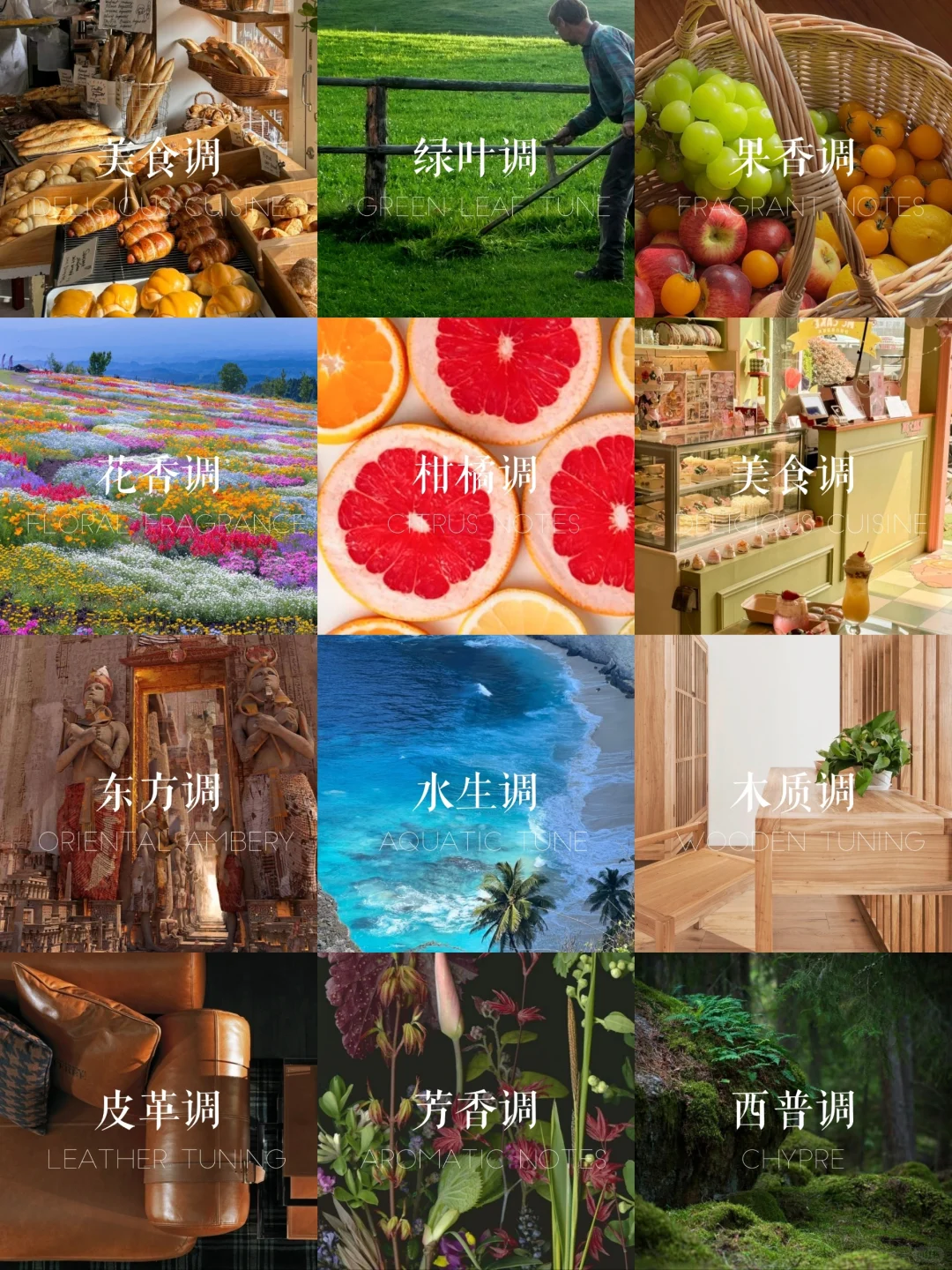 赶时间进：一分钟找到你的本命香！