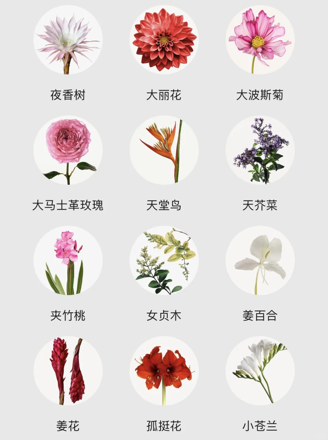 不会还有人不知道香水香调都有哪些吧！