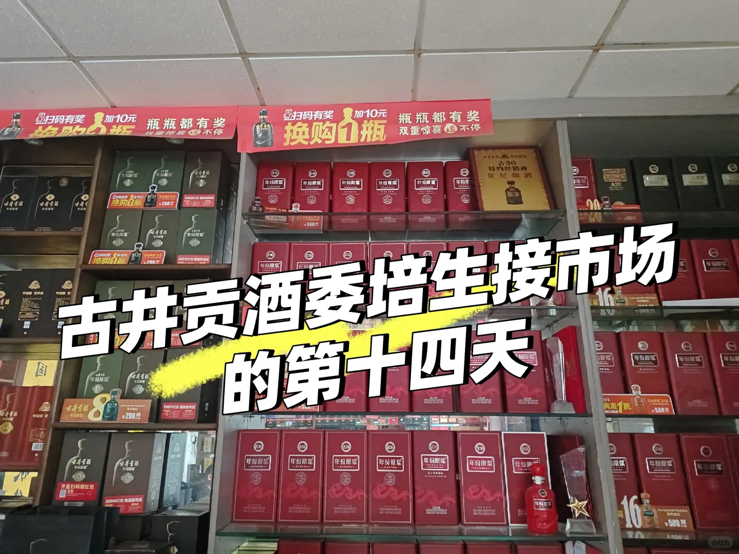 古井贡酒委培生接市场的第十四天??