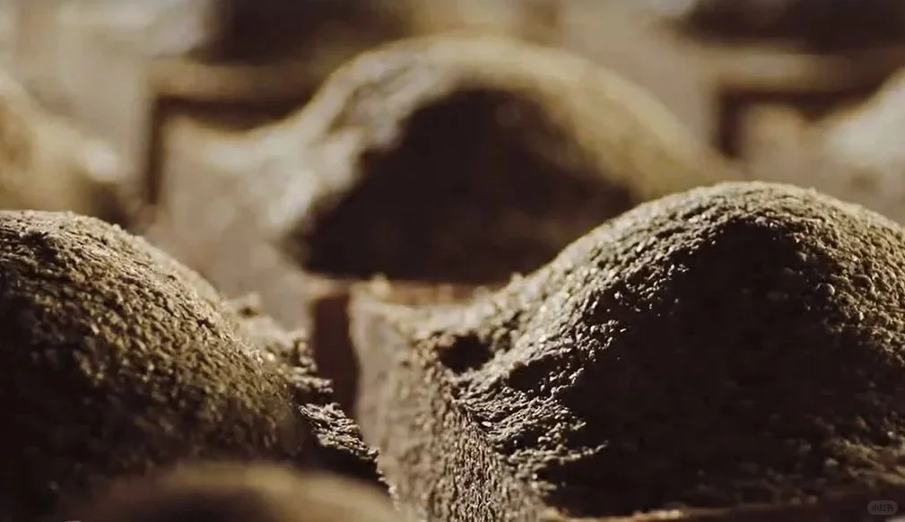 酒曲--它成就了中国白酒的独特性