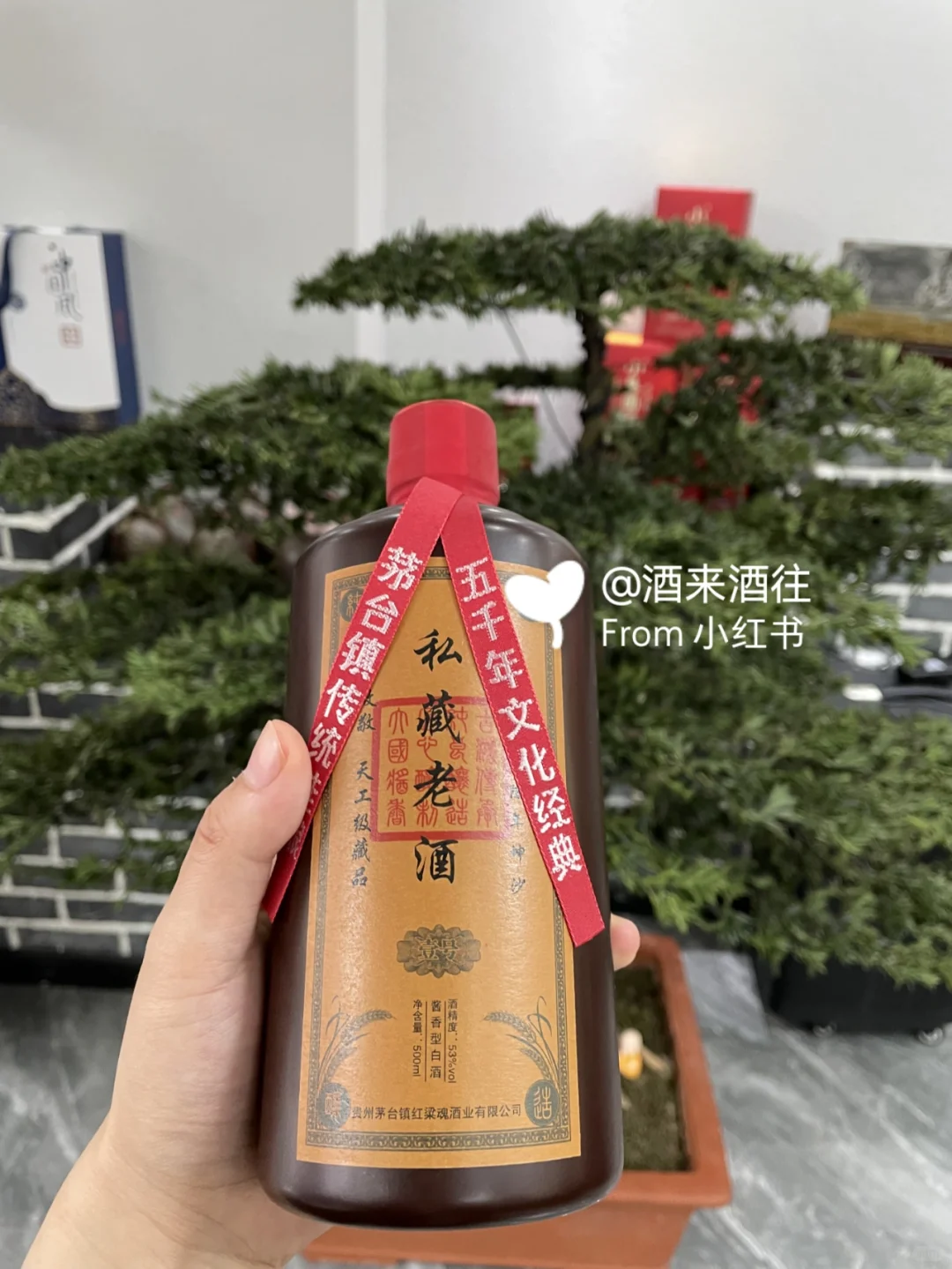 怎样品尝一杯酱香型白酒❓