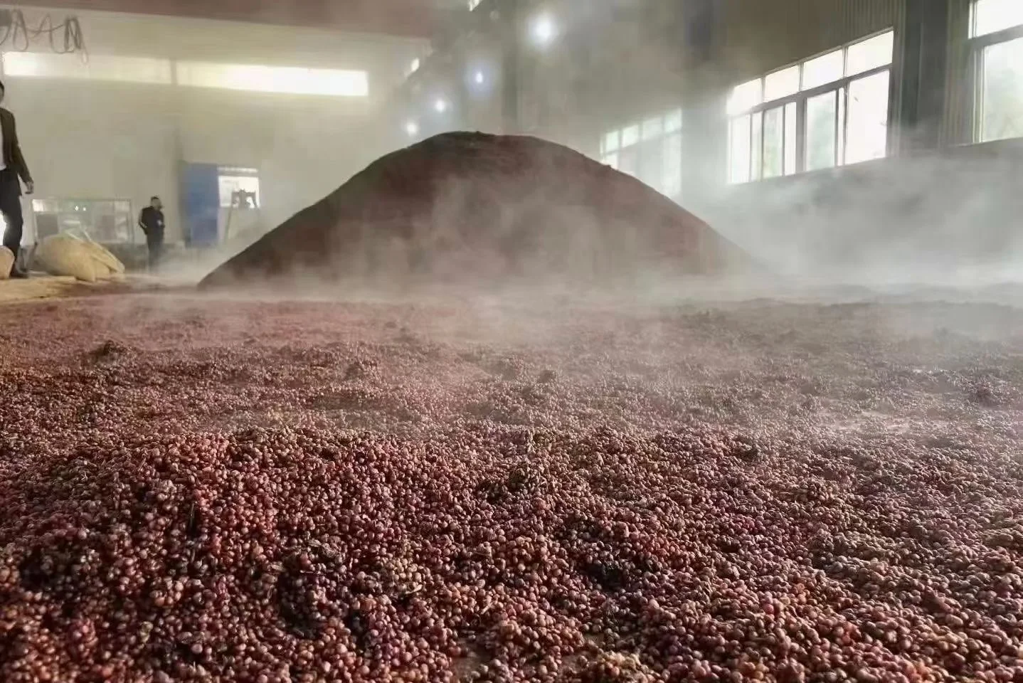 ?大学师妹力推!被金酱惊艳了!太上头了!