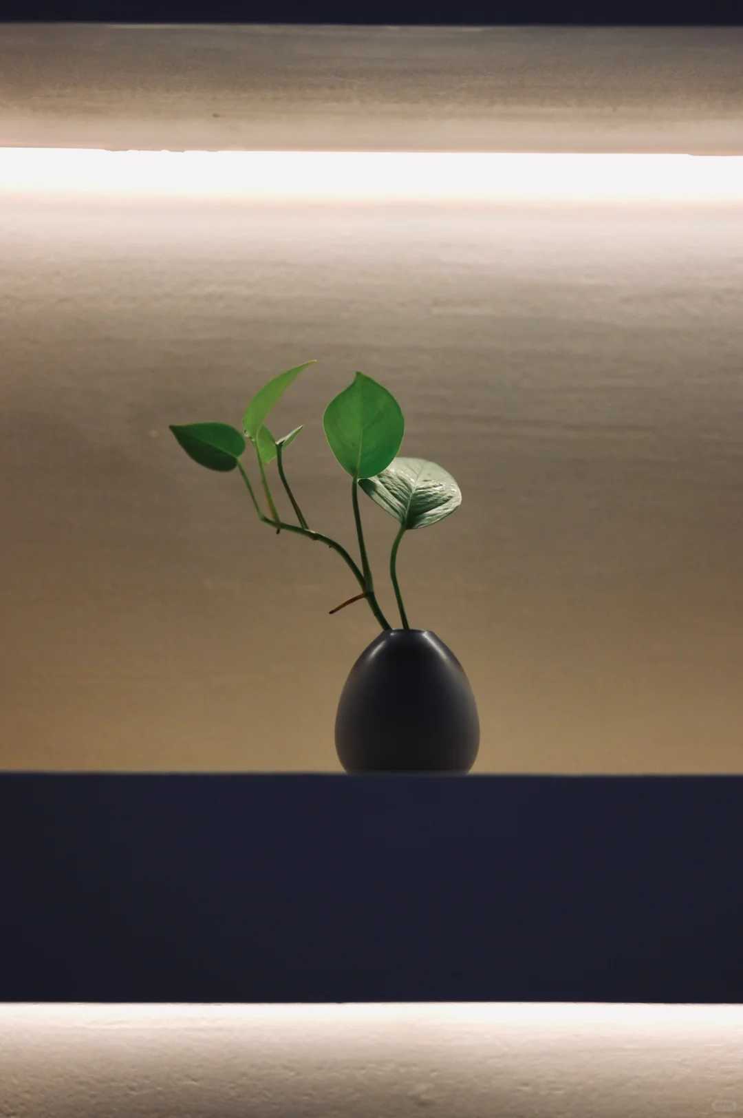 中国酒体设计沙龙品鉴会