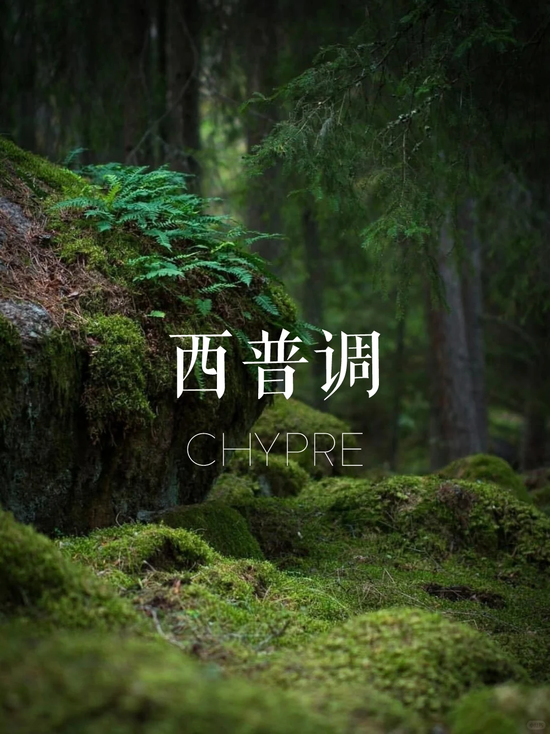 赶时间进：一分钟找到你的本命香！