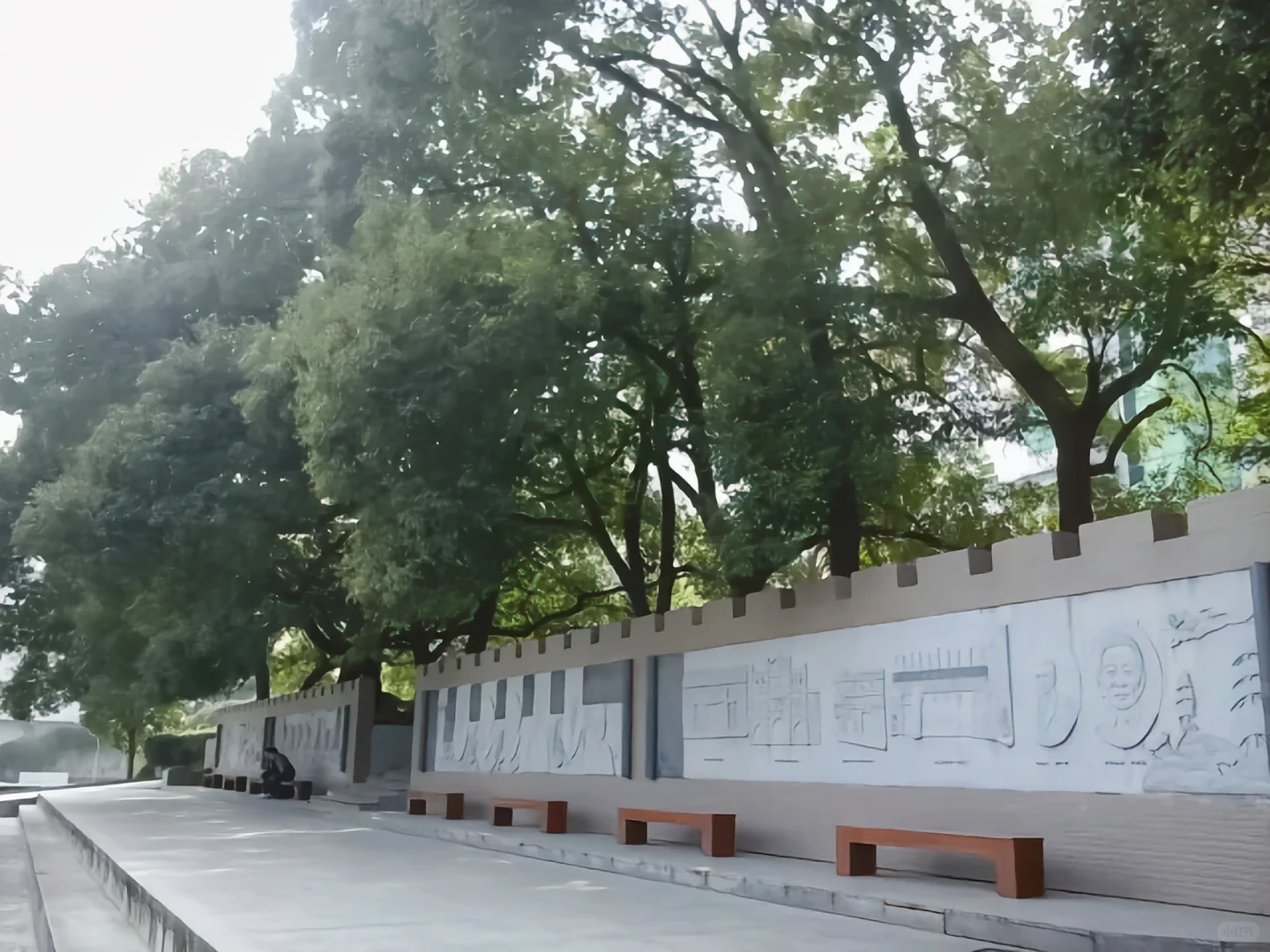 长颈鹿的逆袭:隆回一中送饭日记