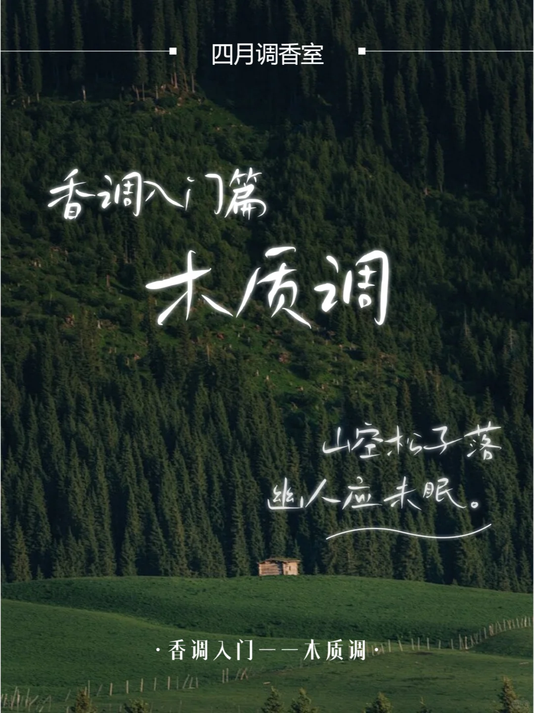 【四月调香室】常见的木质香型有哪些？