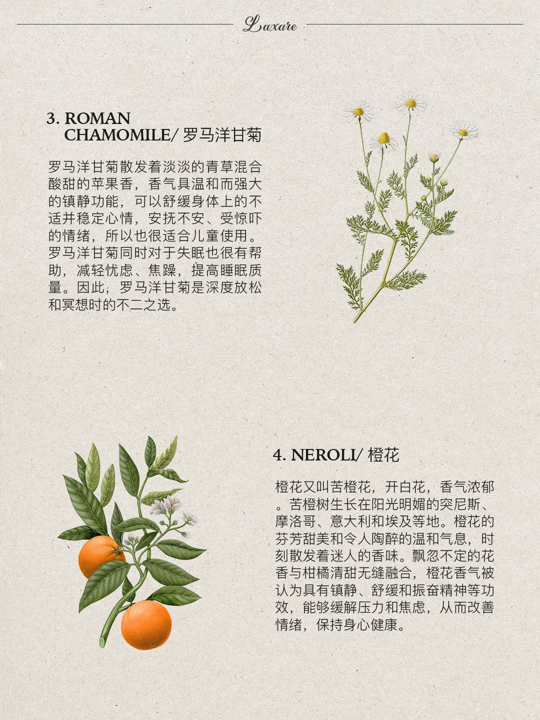 自然疗愈｜?种帮你放松的舒缓香味