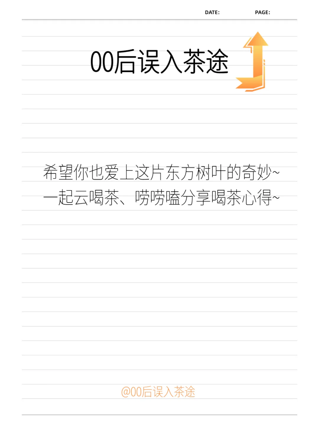 绿茶不止有豆香，还有这八大香型