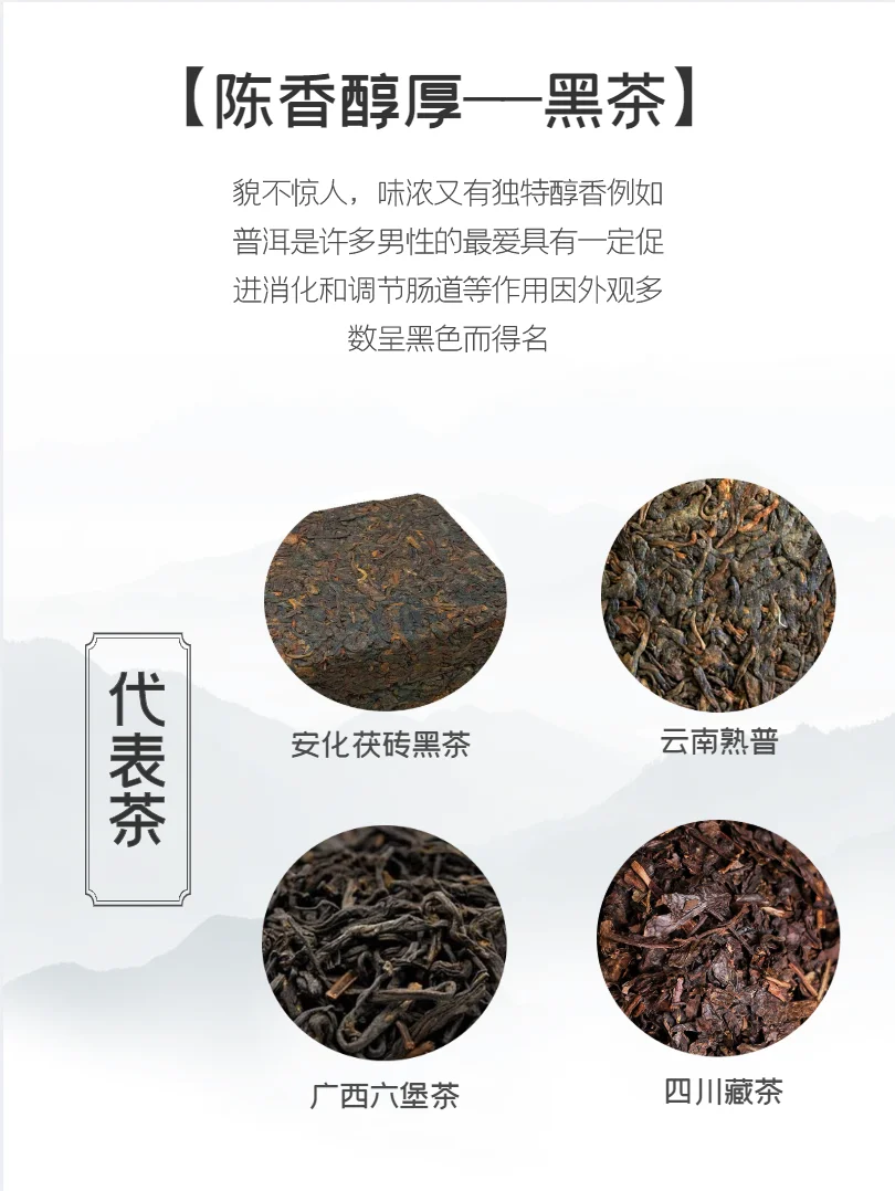茶叶新手指南：轻松选出适合你的茶！?