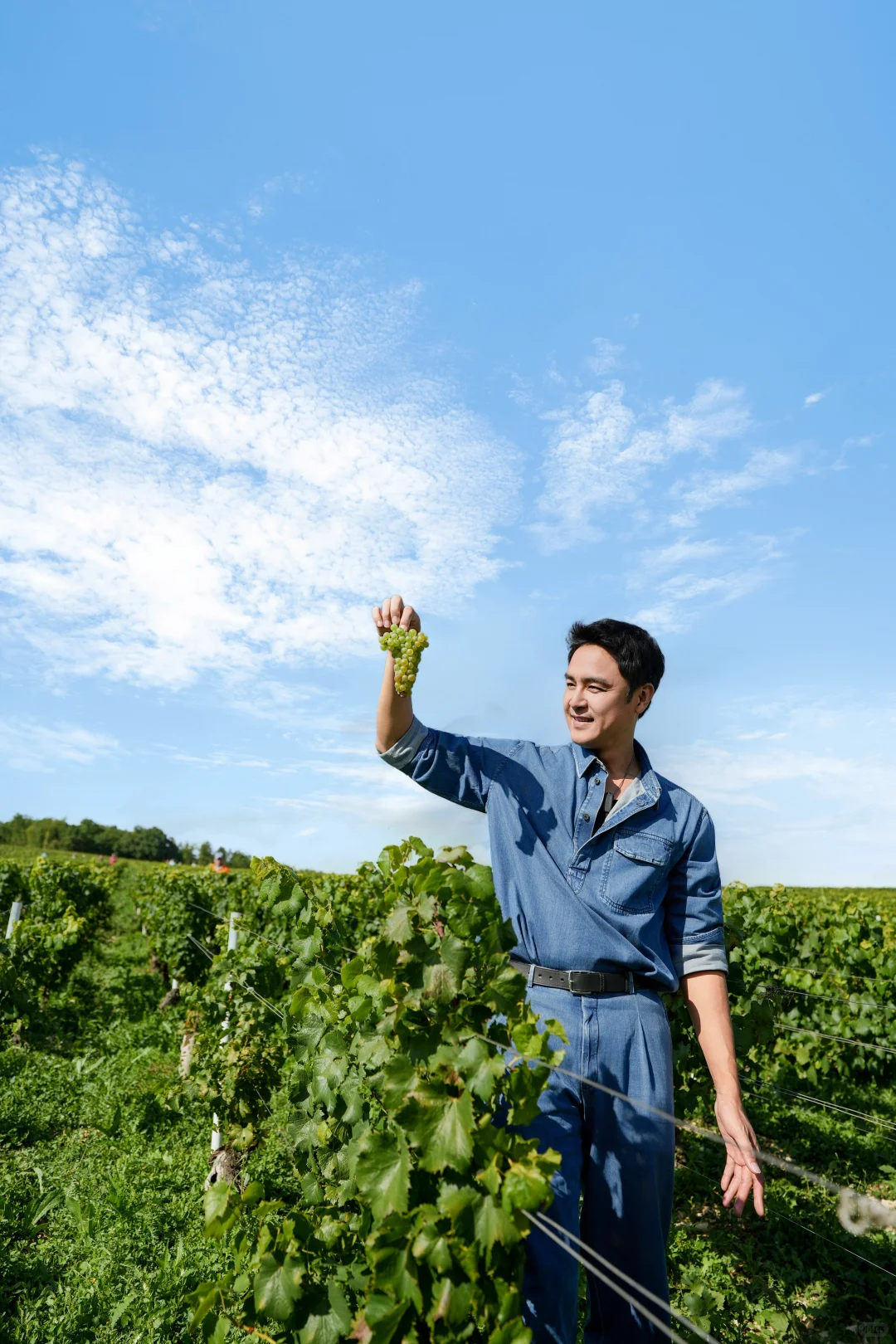美好的一年｜在勃艮第，我尝到了风土的味道