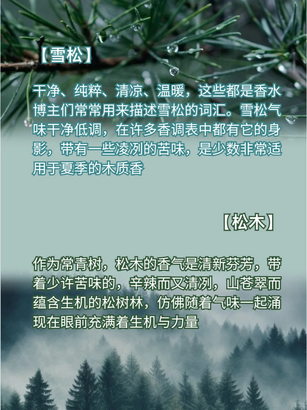 【四月调香室】常见的木质香型有哪些？