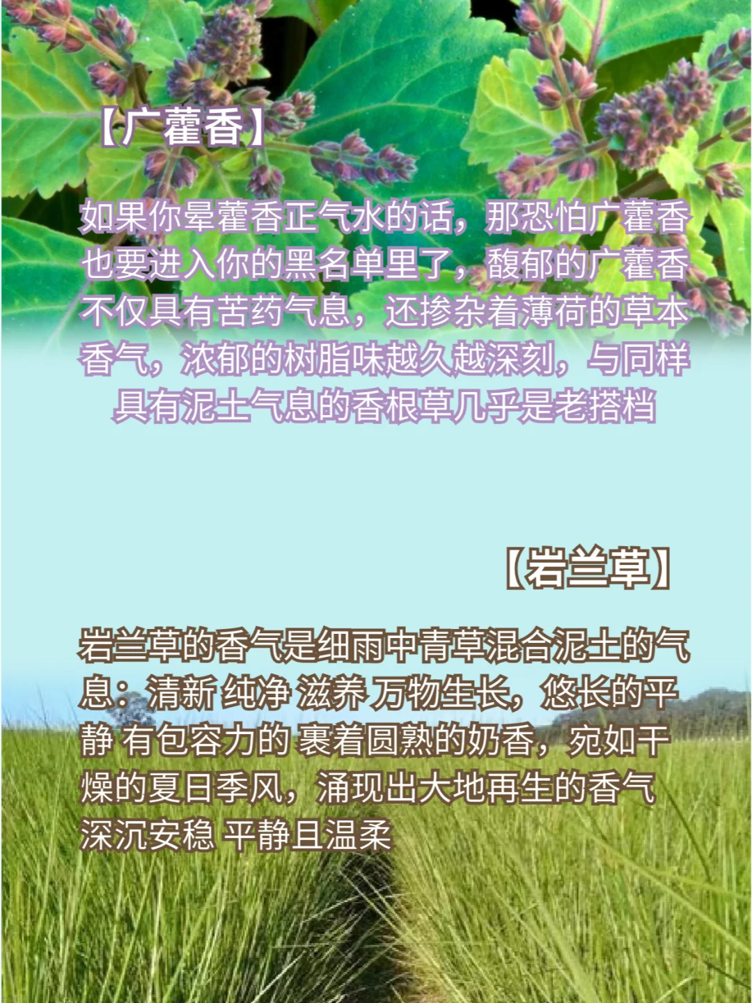 【四月调香室】常见的木质香型有哪些？