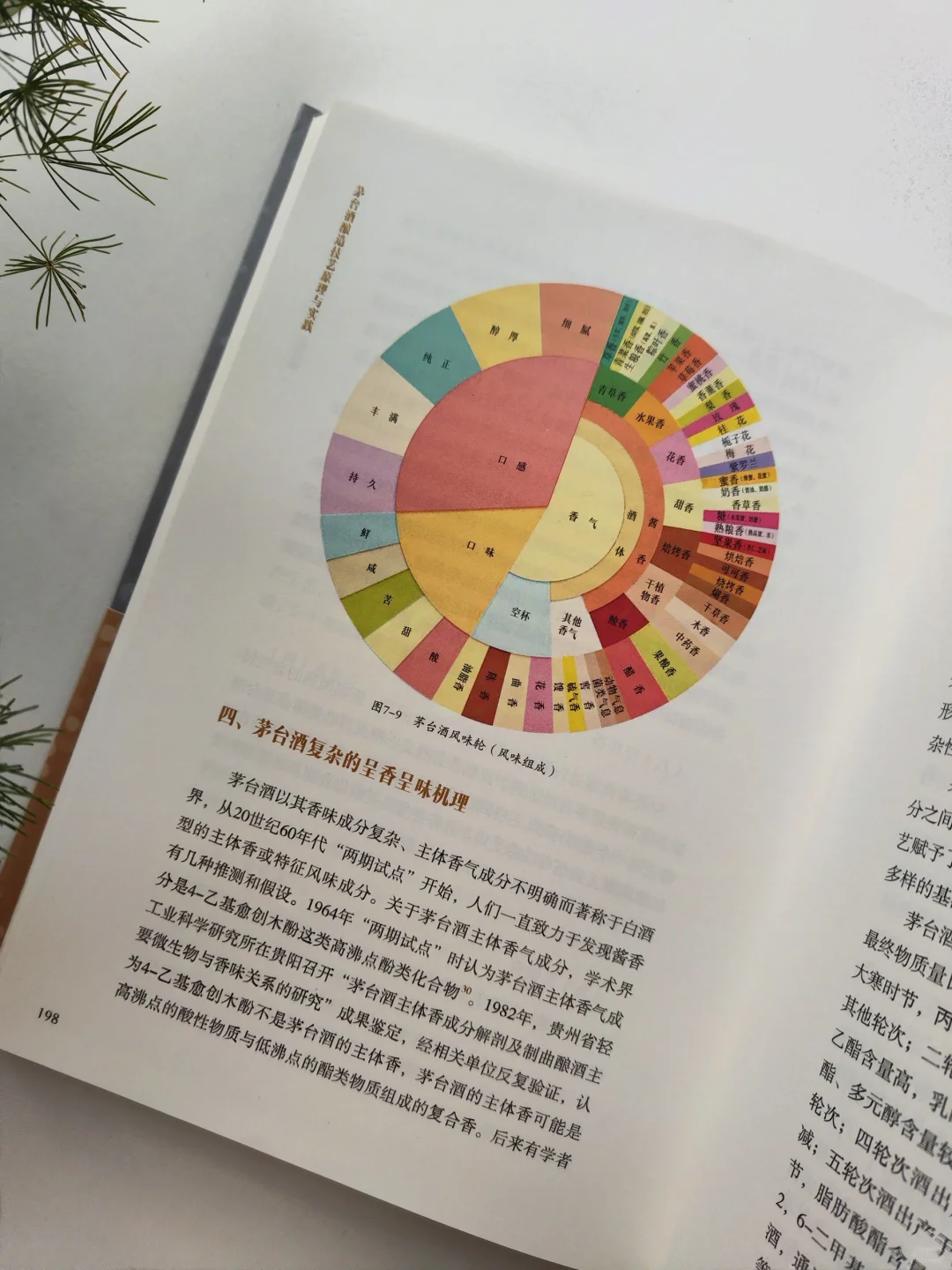 它是酒,也是文化——茅台