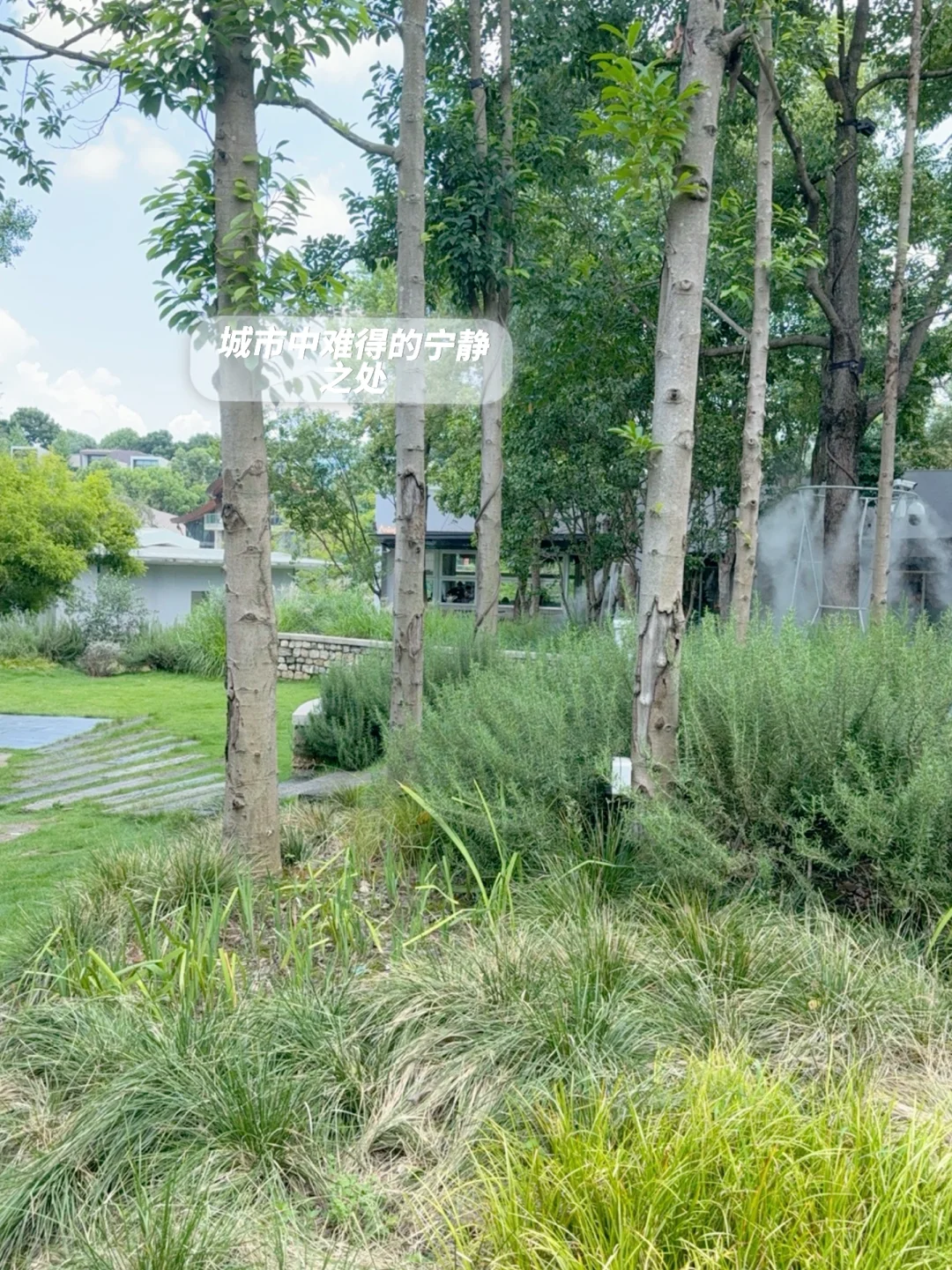 被严重忽视的小众冷门:济南外企