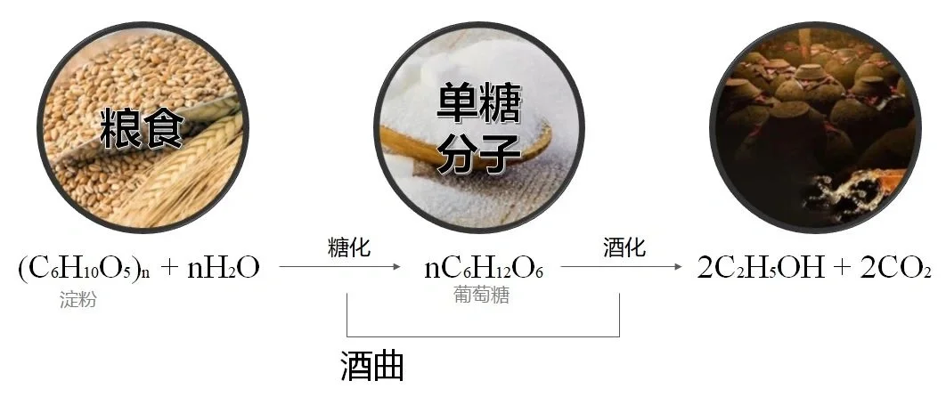 酒曲--它成就了中国白酒的独特性