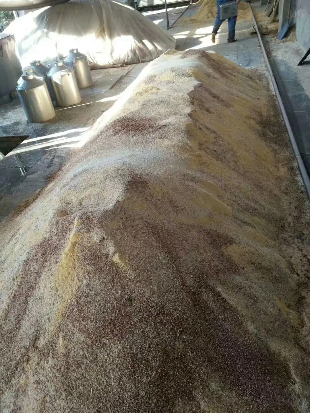 42度光瓶品鉴酒