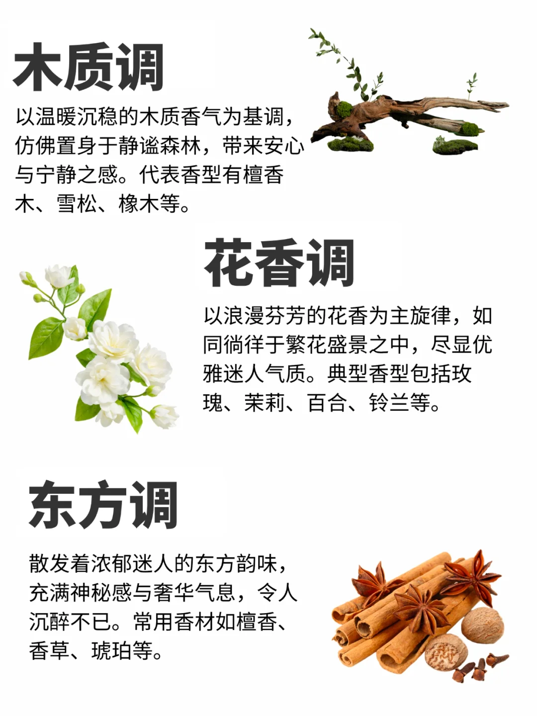 12香调全解析｜调香师私藏分类法，速存！
