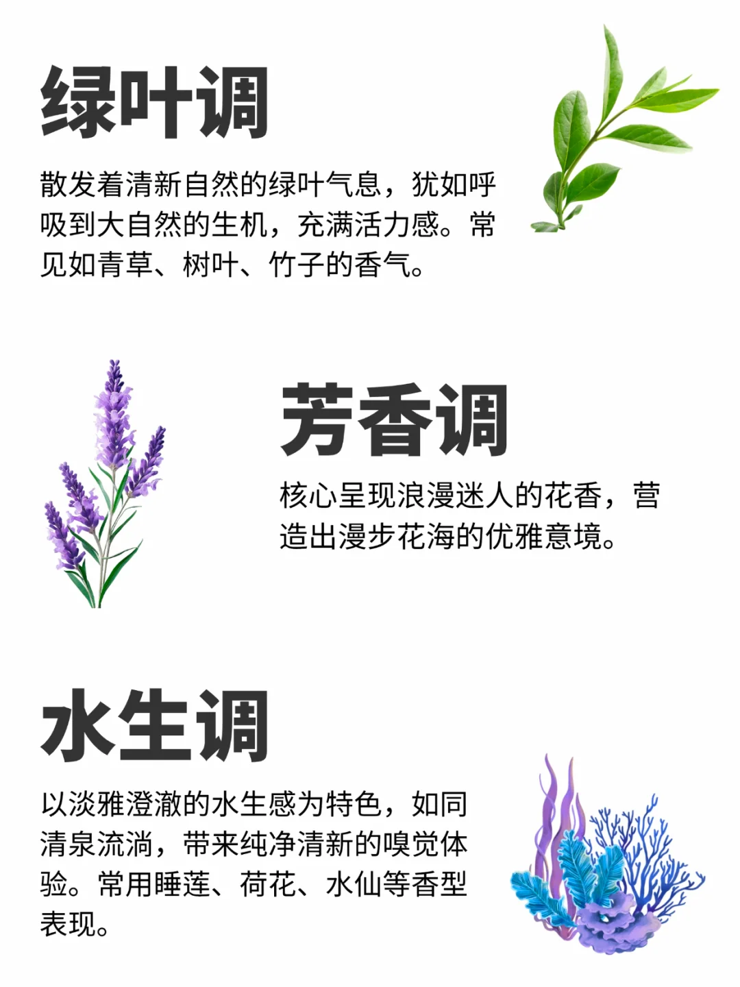 12香调全解析｜调香师私藏分类法，速存！