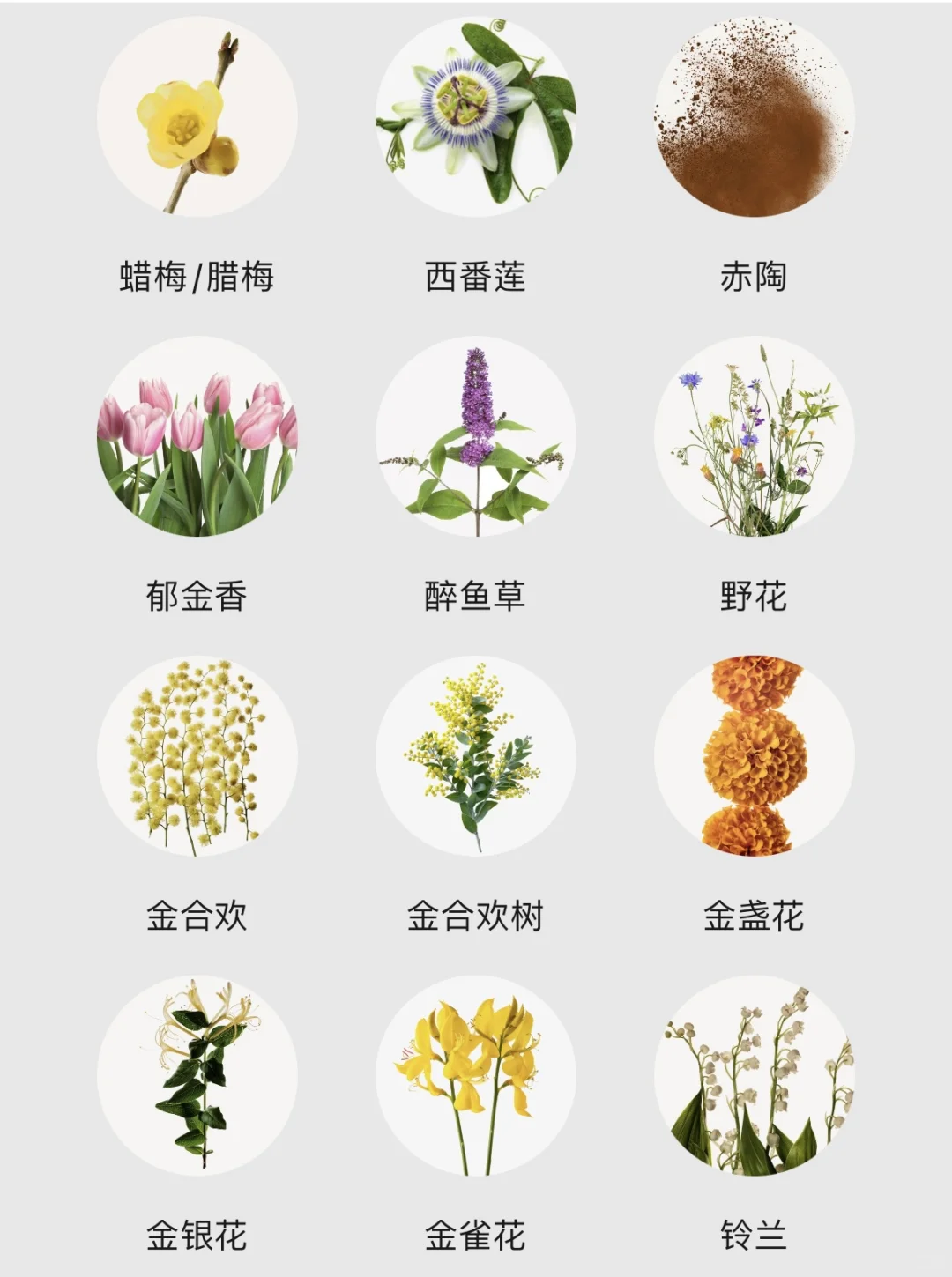 不会还有人不知道香水香调都有哪些吧！