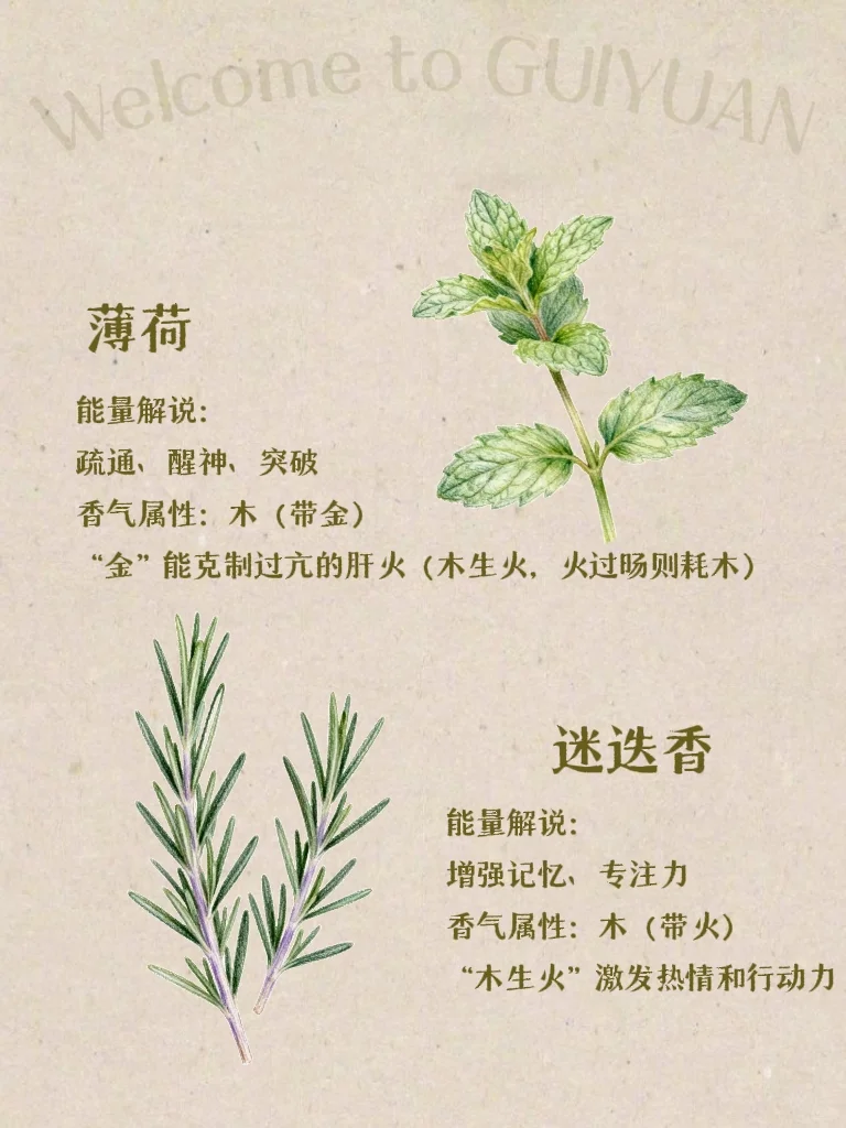 五行×香气｜喜木之人适合的香气