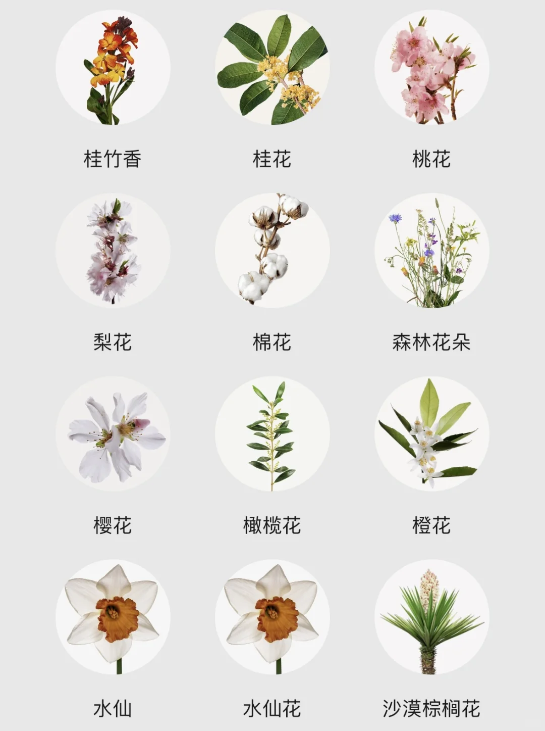 不会还有人不知道香水香调都有哪些吧！