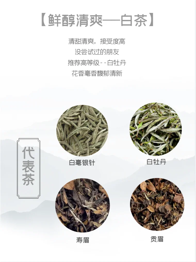茶叶新手指南：轻松选出适合你的茶！?