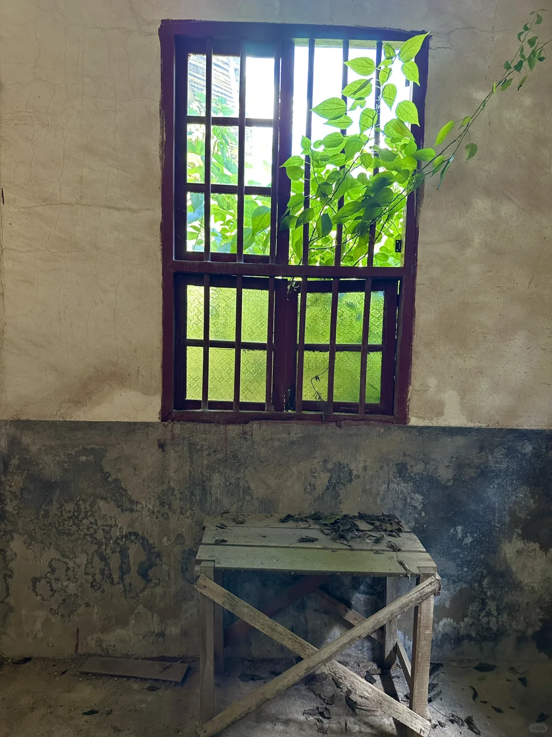 一位老爷爷去世多年后的家