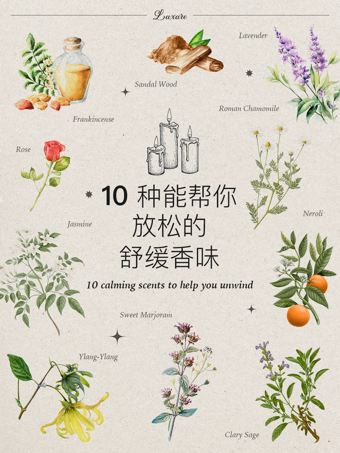 自然疗愈｜?种帮你放松的舒缓香味