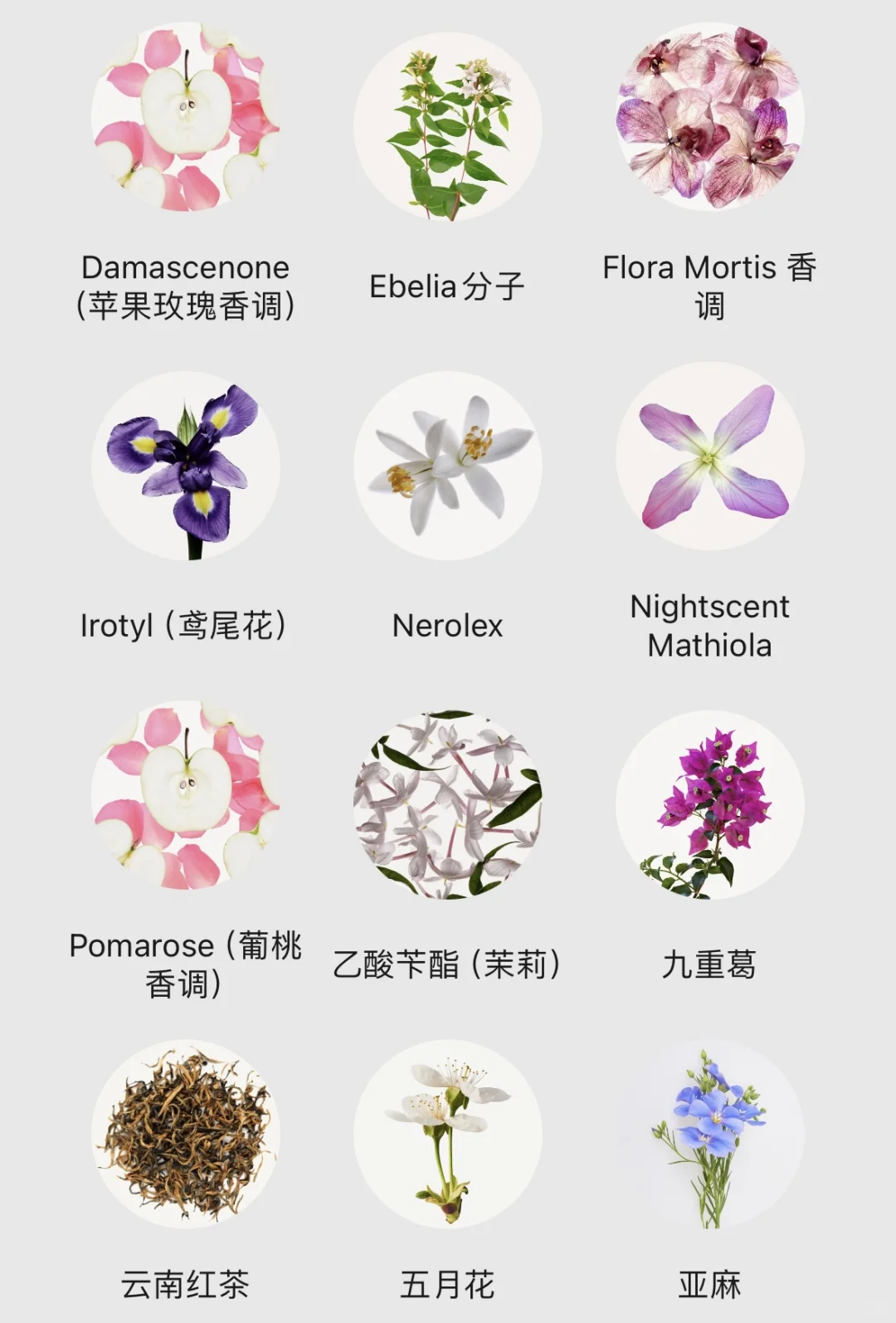 不会还有人不知道香水香调都有哪些吧！