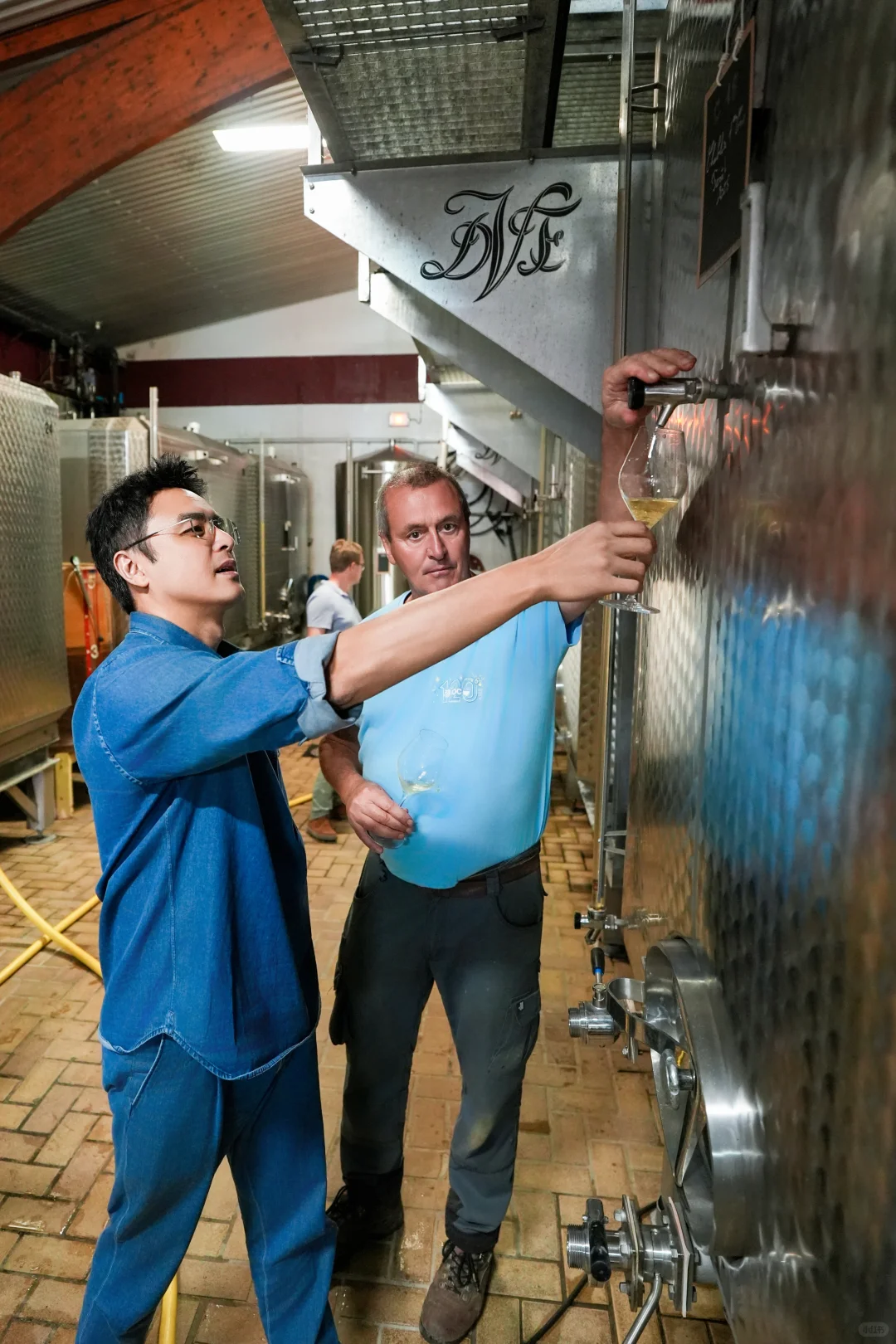 美好的一年｜在勃艮第，我尝到了风土的味道