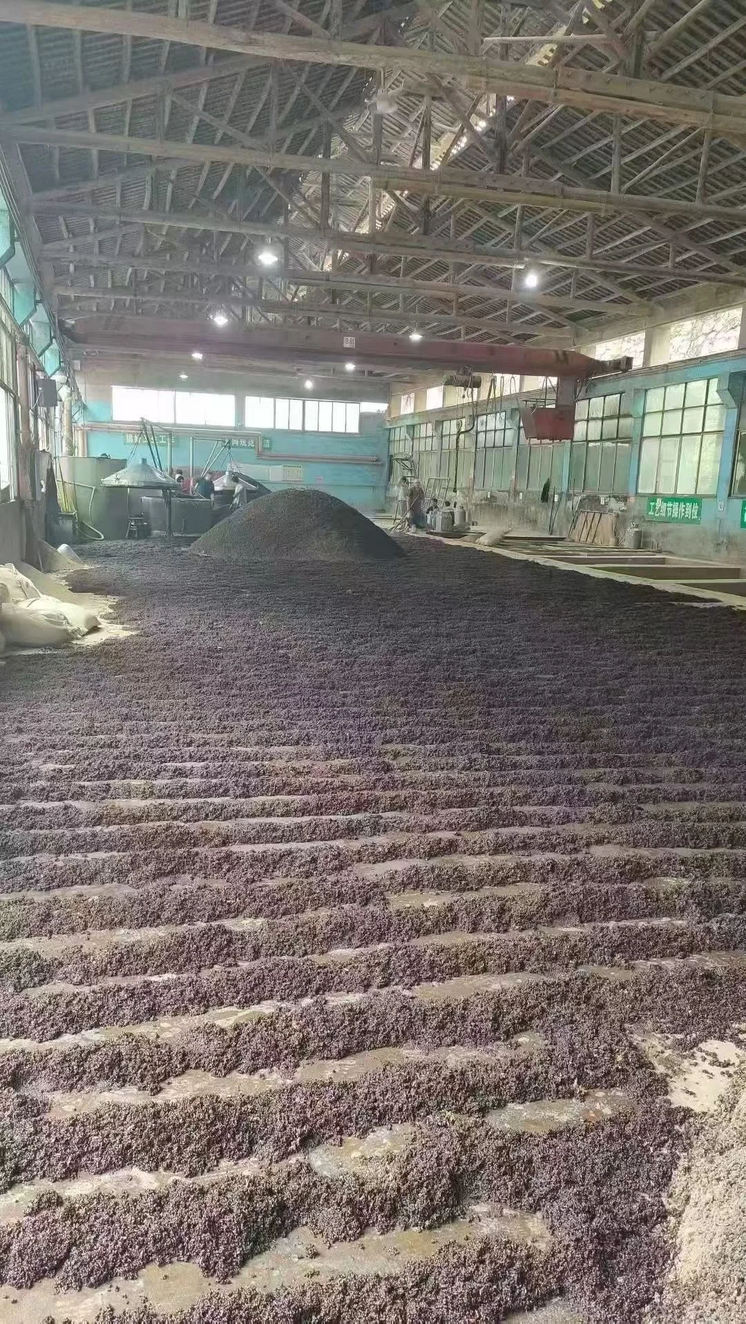 ?大学师妹力推!被金酱惊艳了!太上头了!