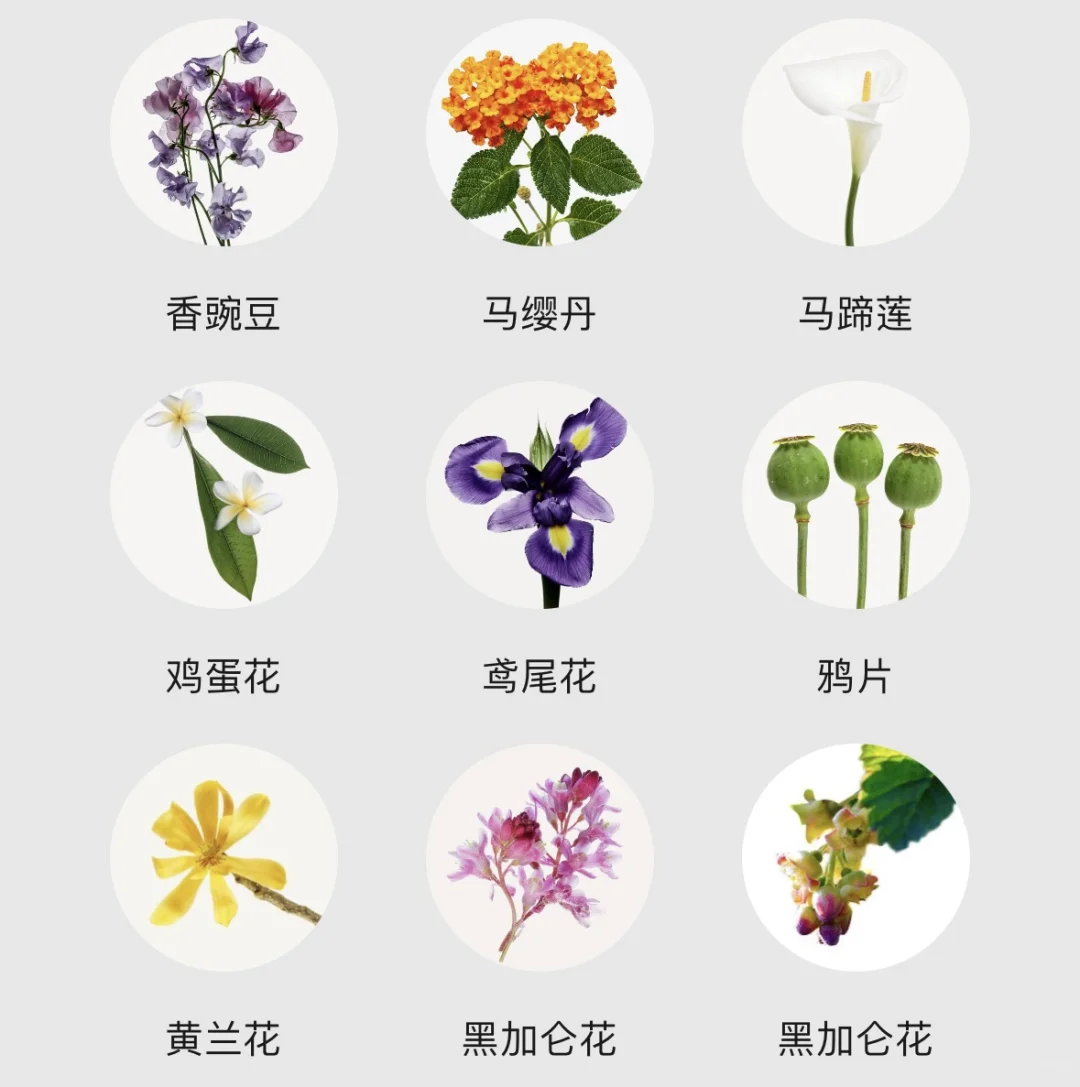 不会还有人不知道香水香调都有哪些吧！