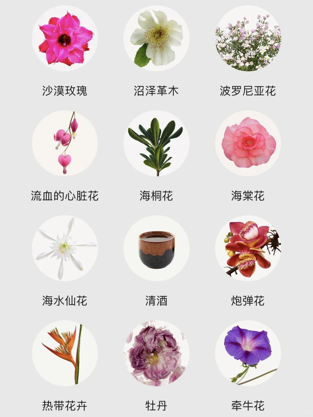 不会还有人不知道香水香调都有哪些吧！