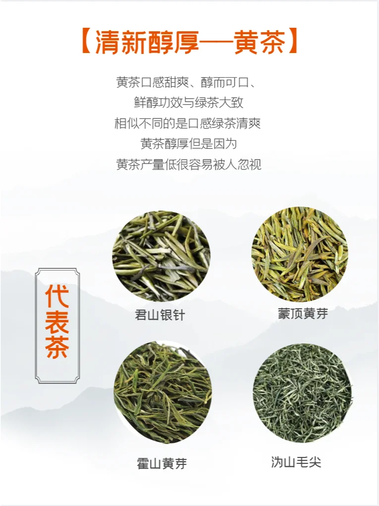 茶叶新手指南：轻松选出适合你的茶！?