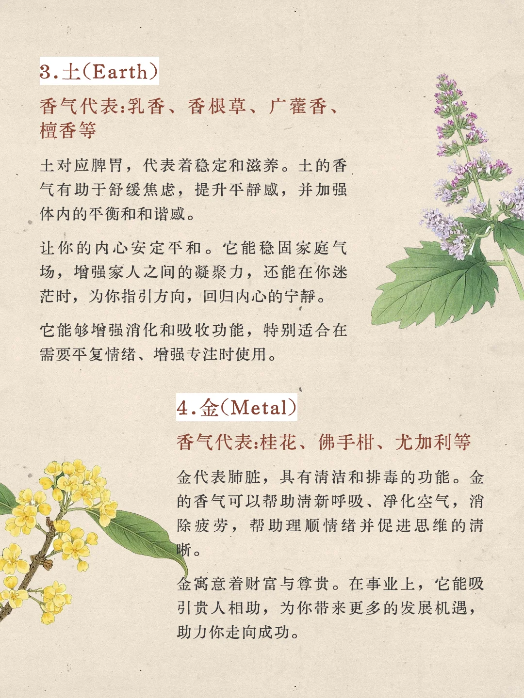 香文化｜五?所对应的植物香气